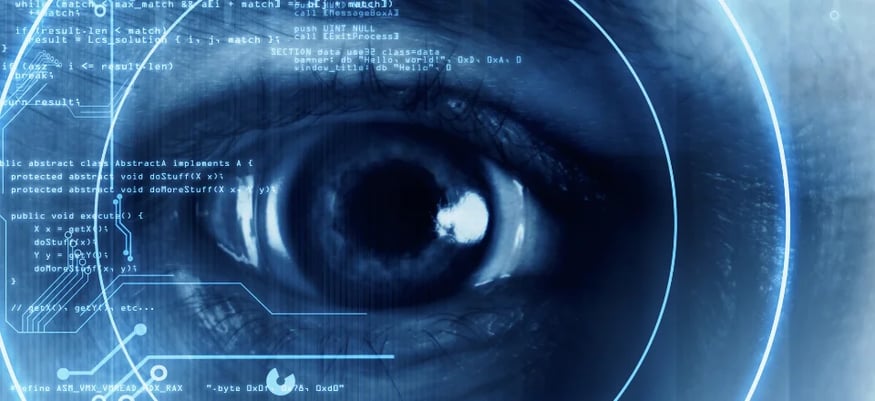 Retinal Scan Biometric Access Control