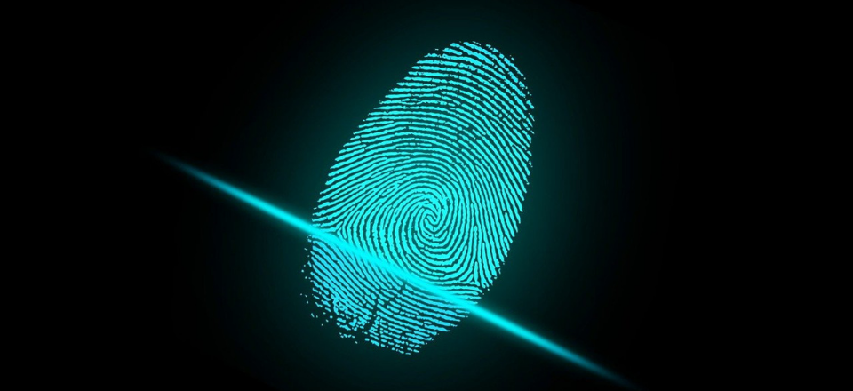 Scanned fingerprint
