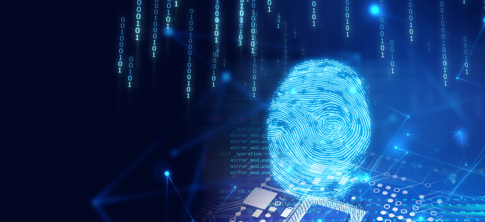 Biometric fingerprint