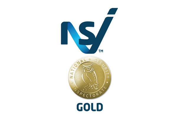 NSI Gold Logo