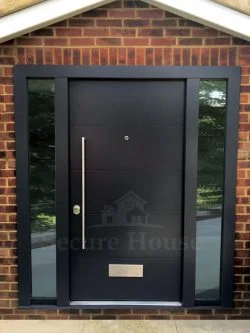 contemporary_front_doors_with_sidelights